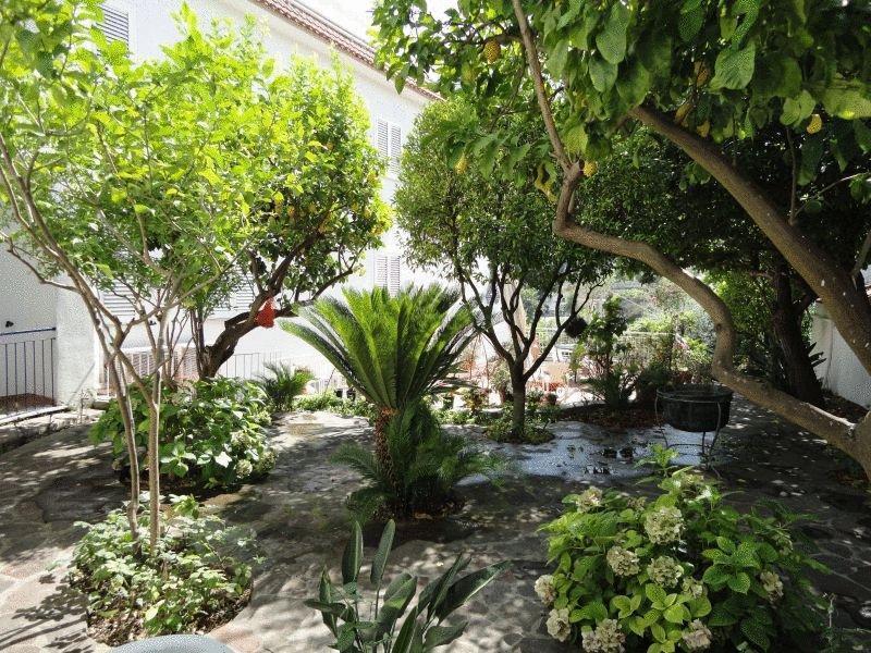 Hotel Candia Casamicciola Terme Exterior photo